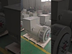 H 클래스 10-1000 KW 3단계 브러시리스 AC 발전기 프리미엄