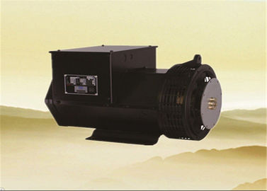 주문 두 배 방위 삼상 발전기 25kw 31.3kva 12/6 철사 online manufacture