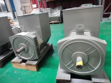 주문 두 배 방위 단일 위상 발전기 online manufacture