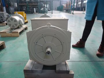 주문 110V ~ 690V 동시 무브러시 두 배 방위 발전기 40kw/50kva online manufacture