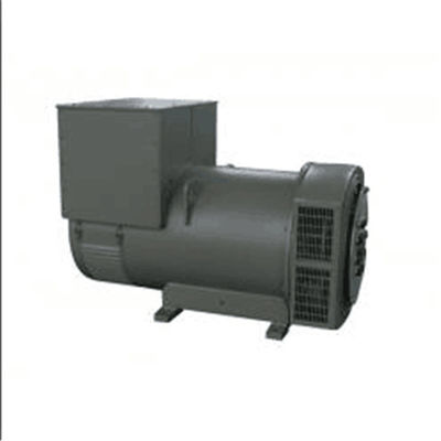 주문 1 Brushless Three-Phase Induction Generator for Stable and Smooth Operation online manufacture