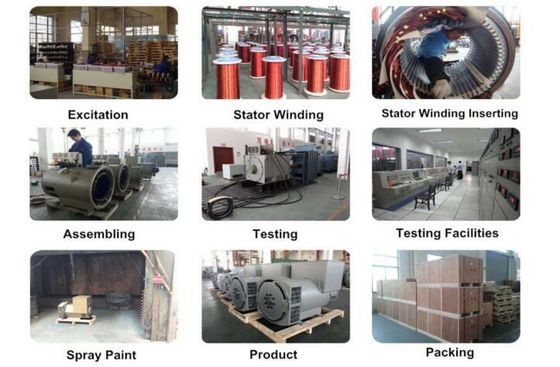 주문 Double Bearing Alternator with 110V-480V Voltage Range AVR SX460 AS440 and 20 Years Life Time for Industrial Power Generation online manufacture