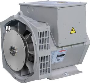 주문 절연제 종류 H는 삼상 무브러시 발전기 8.8kw/11kva를 찬성했습니다 online manufacture