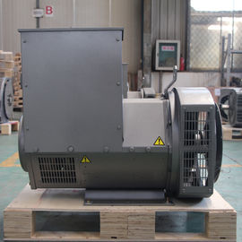 주문 휴대용 20kw 50hz 주거 디젤 교류 발전기 110 - 240V SX460 AVR online manufacture