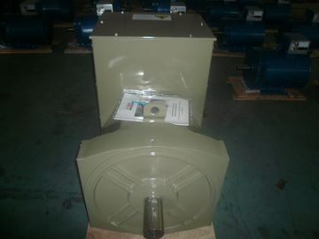 주문 일등 AVR IP22 AC 단일 위상을 가진 300KW 두 배 방위 발전기 online manufacture