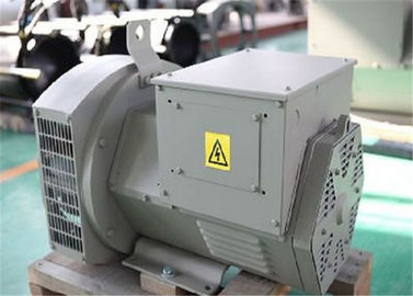 12kw 15kva 2/3개의 피치 Perkins 발전기 세트 사용을 가진 무브러시 교류 발전기