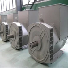 H 클래스 10-1000 KW 3단계 브러시리스 AC 발전기 프리미엄