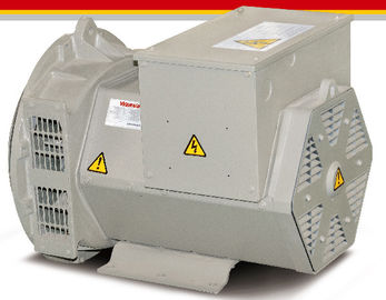 AVR SX460 발전기 세트를 위한 16kw/20kva 삼상 무브러시 발전기